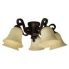 Height (in.) 8.25 Width (in.) 14.50 Lumens 750 Bulb Base Medium Bulb Type LED Carton Size (CU FT) 1.36 CRI 80 Glass or Shade Color Antique Scavo