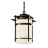 Black Finish - Opal Glass