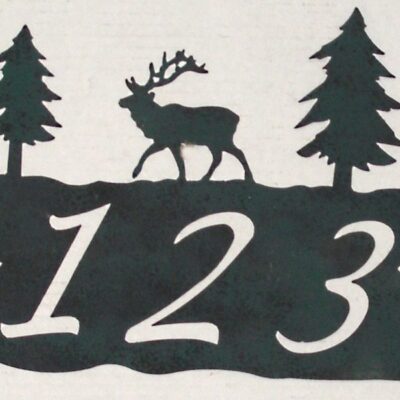 Copper Canyon Rustic and Western Address Signs