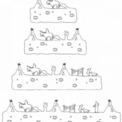 Native Camp