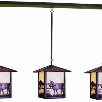 Seneca Moose at Lake 3 Light Island/Pool Table Light