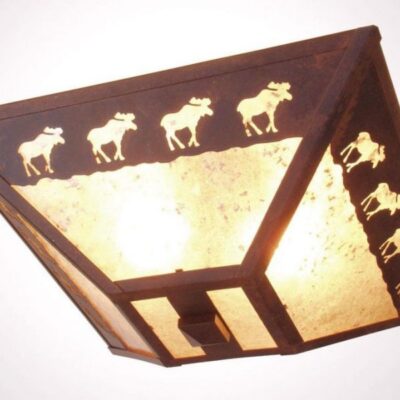 Ceiling Light Series