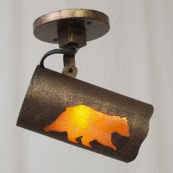 Western and Ranch Track Lighting - Monopoint