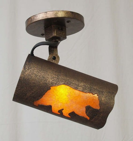Western and Ranch Track Lighting - Monopoint