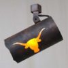 TR10 - Longhorn - Color C127 - Amber Mica Liner