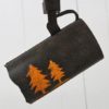Lodge and Cabin TR11 Track Lighting