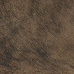 Light Brindle Hide
