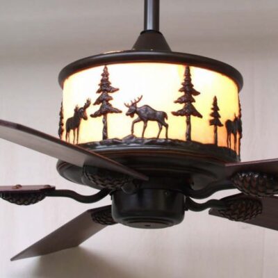 Fan with interior light on