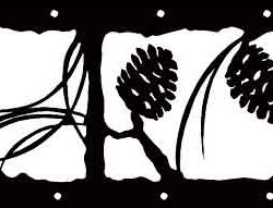 Pinecones