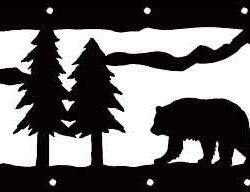 Bears