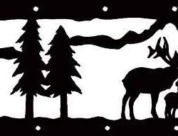Elk Scene