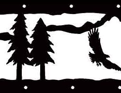 Eagle Scene
