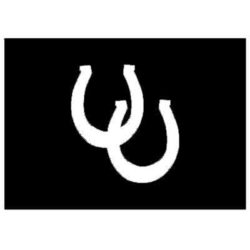 Wall Sconce Horseshoe Design 416