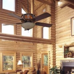 Timber Creek Ceiling Fan
