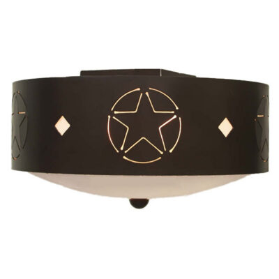 CL840 Western Ceiling Light