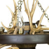Wagon Wheel Mule Deer Antler Chandelier