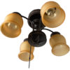 Western Star Ceiling Light
